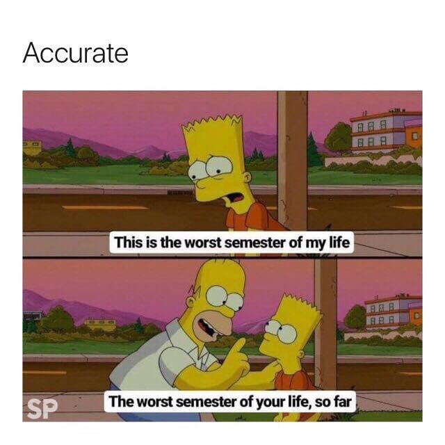 this is the worst semester of my life, the worst semester of your life so far, accurate, homer, bart, the simpsons