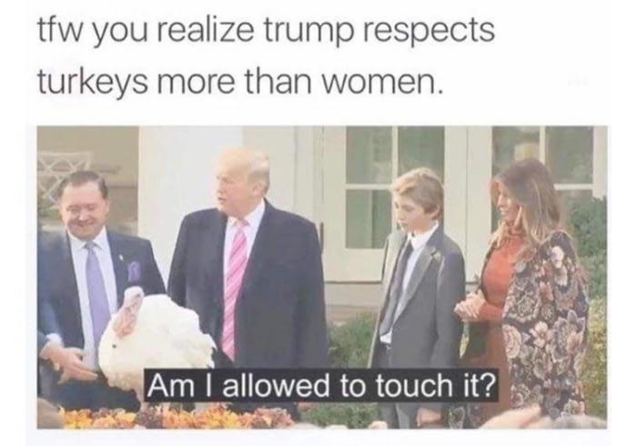 tow you realize trump respects turkeys more than women, am i allowed to touch it?