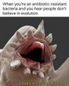 when you're an antibiotic-resistant bacteria and you hear people don't believe in evolution, laughs microscopically