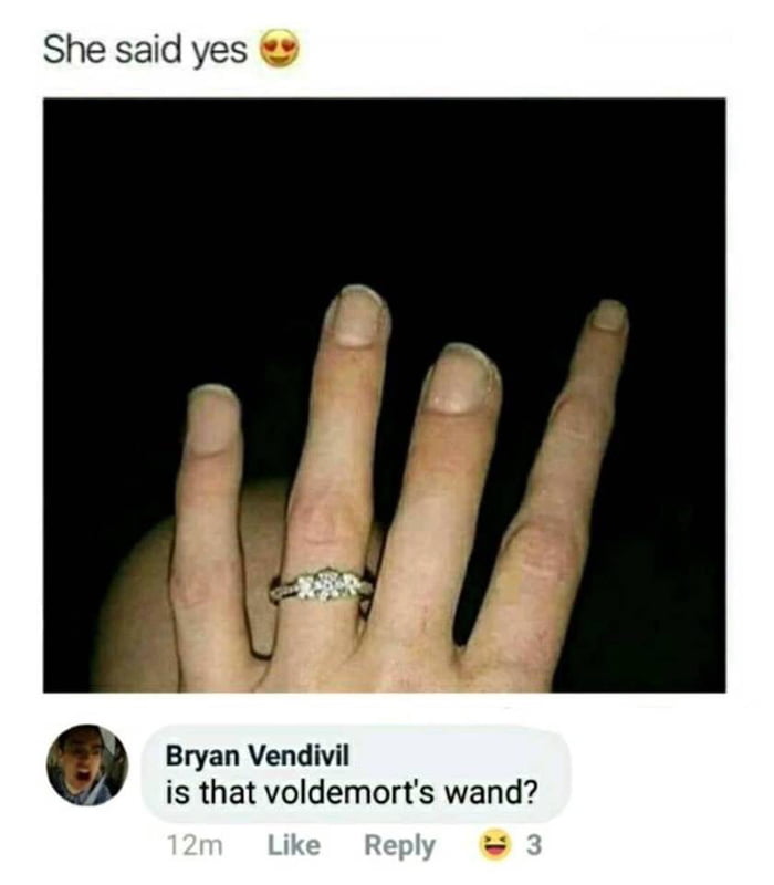 she said yes, is that voldemort's wand?
