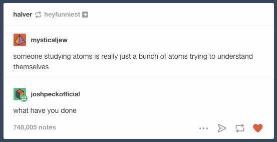 someone studying atoms is really just a bunch of atoms trying to understand themselves, what have you don