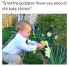 smell the goddamn flower you piece of shit baby chicken, meme