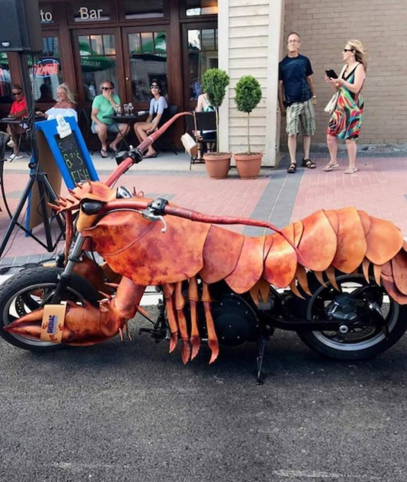 motorbug