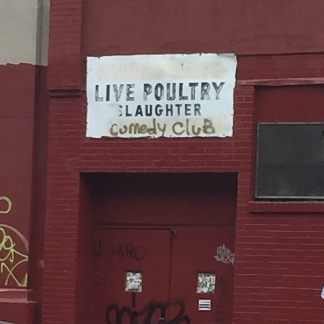 live poultry slaughter comedy club, sketchy
