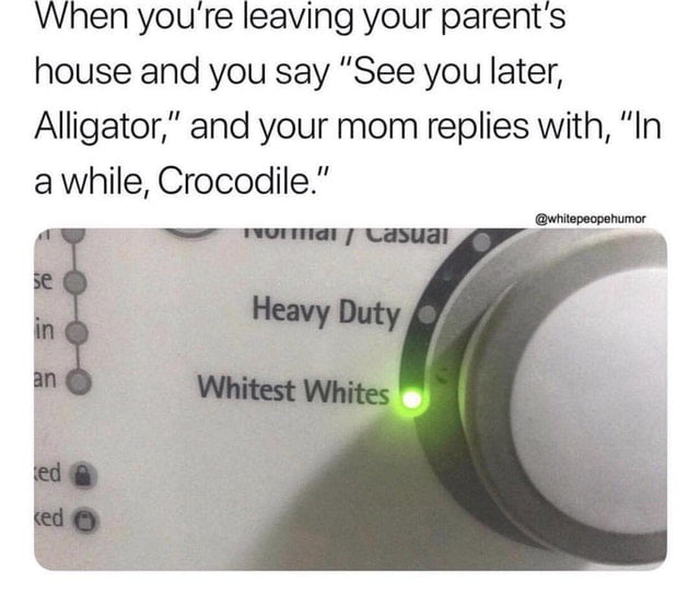 when you're leaving your parent's house and you say, see you later alligator, and your mom replies with, in a while crocodile, whitest whites