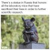 there's a statue in russia that honors all the laboratory mice that have sacrificed their lives in order to further scientific research