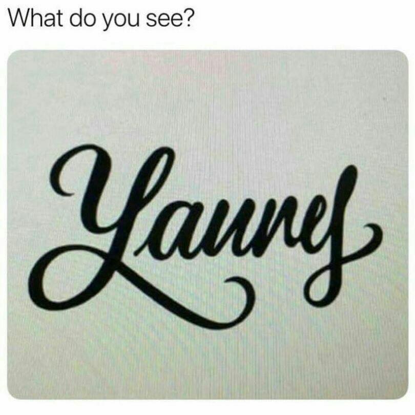 what do you see?, yanny, laurel