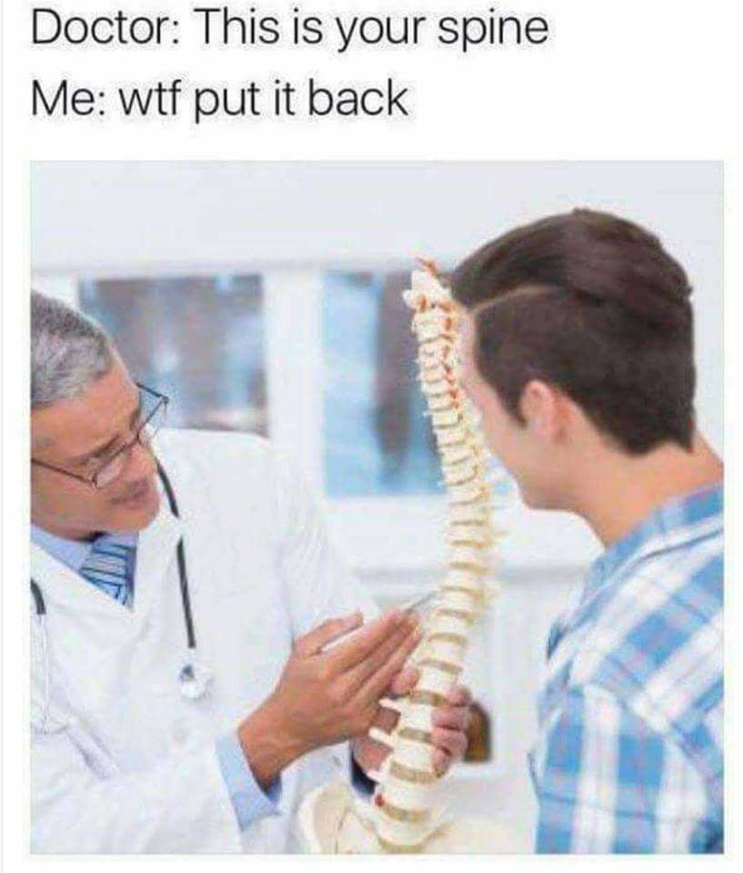 this is your spine, wtf put it back