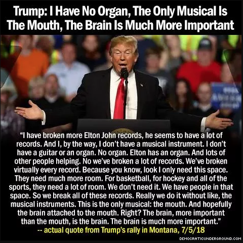 i have no organ, the only musical is the mouth, the brain is much more important, donald trump is senile