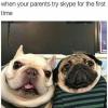 when your parents try skype for the first time