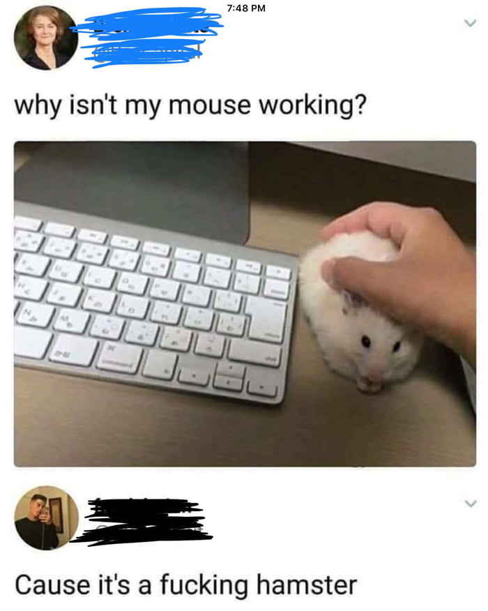why isn't my mouse working, because it's a fucking hamster