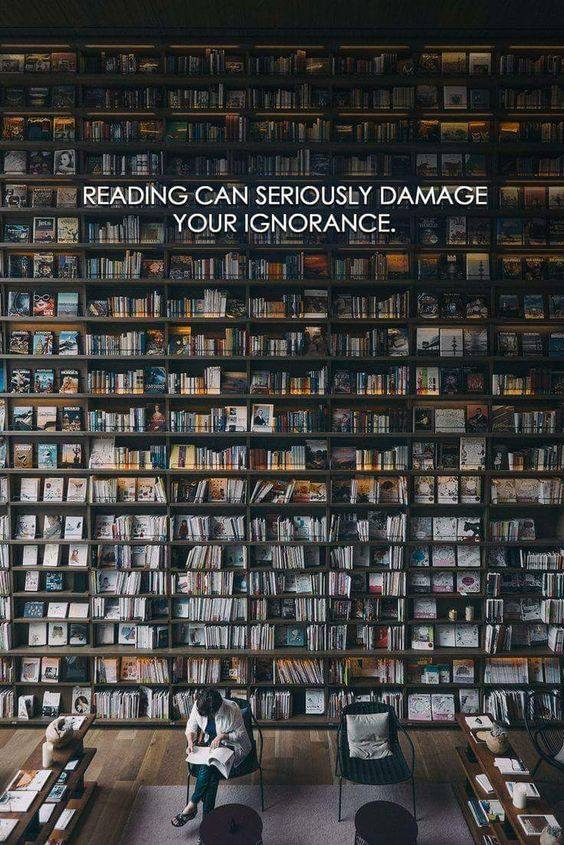reading can seriously damage your ignorance