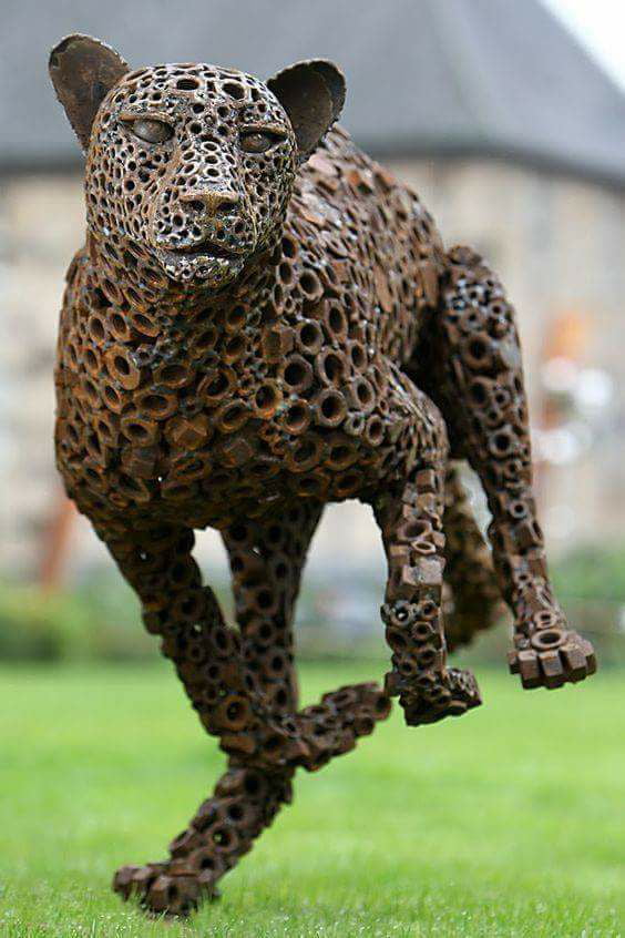 this jaguar is nuts