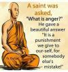 a saint was asked, what is anger?, he gave a beautiful answer, it is a punishment we give to ourself for someone else's mistake