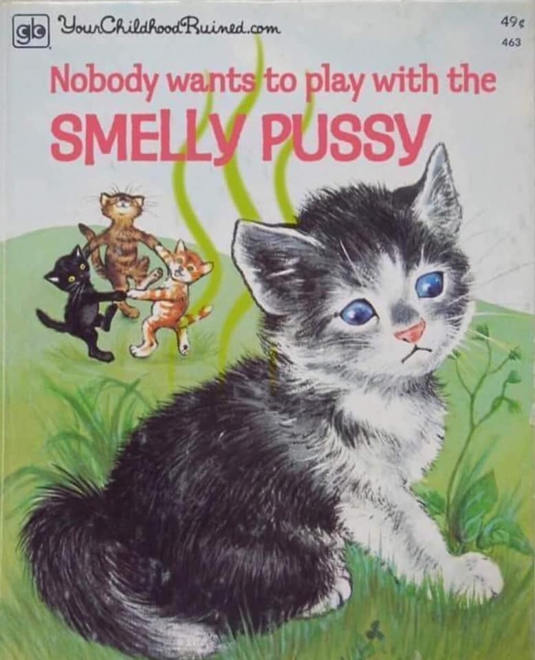 nobody wants to play with the smelly pussy, children's book with questionable title