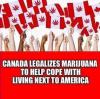 canada legalizes marijuana to help cope with living next to america
