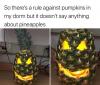 so there's a rule against pumpkins in my dowm but it doesn't say anything about pineapples