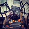best halloween decorations, giant spider