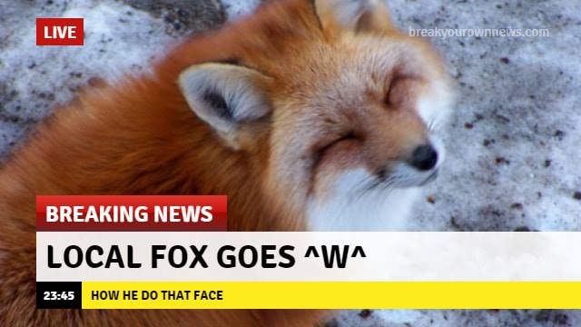 local fox goes ^w^