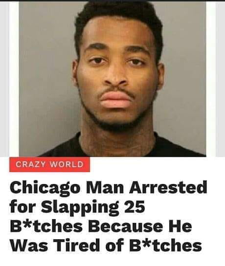 chicago man arrested for slapping 25 b*tches because he was tired of b*tches