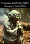 in case you didn't know, yoda's last name is layheehoo