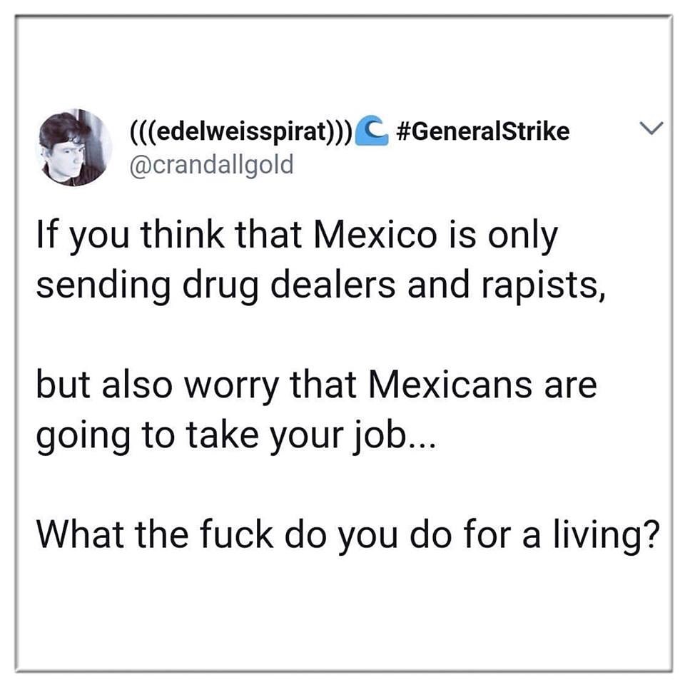 if you think that mexico is only sending drug dealers and rapists, but also worry that mexicans are going to take your job, what the fuck do you do for a living?