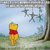 it was at this moment pooh realized he was in the wrong woods