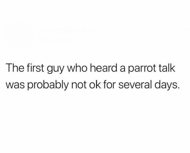 the first guy who heard a parrot talk was probably not ok for several days