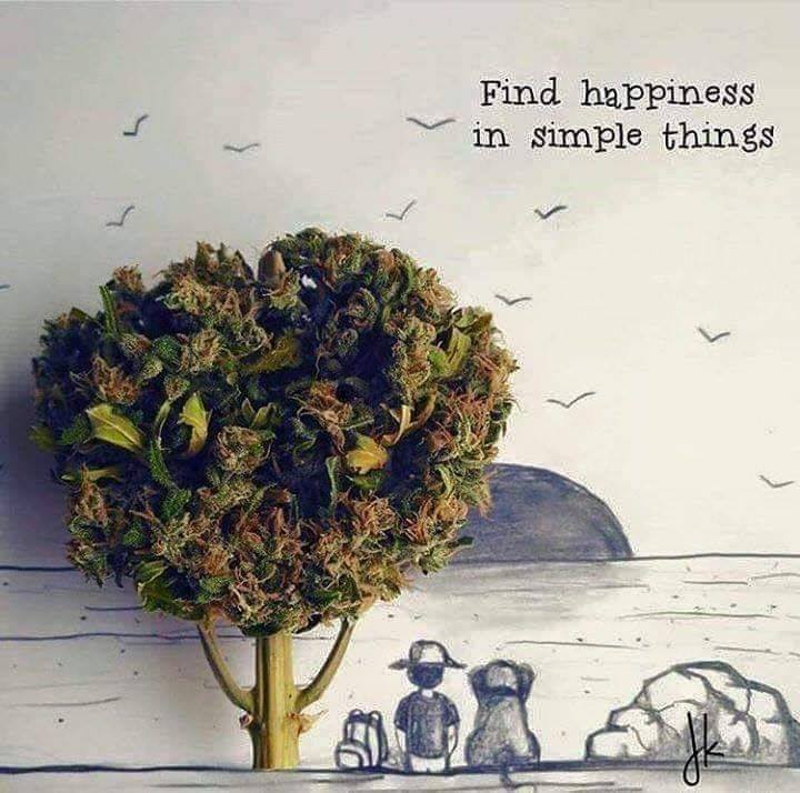 find happiness in simple things