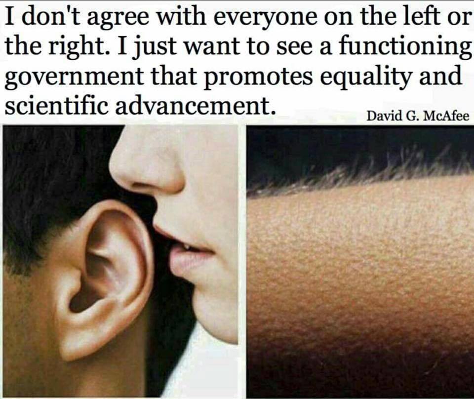 i don't agree with everyone on the left or the right, i just want to see a functioning government that promotes equality and scientific advancement
