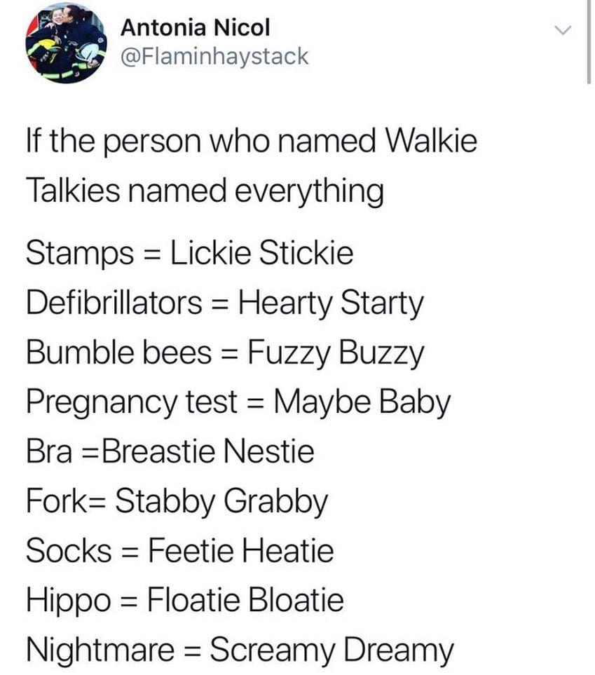 if the person who named walkie talkies named everything, lickie stickie, hearty starty, fuzzy buzzy, maybe baby, breastie nestie, stabby grabby, feetie heatie, floatie bloatie, screamy dreamy