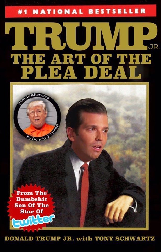 art of the plea deal, donald trump jr book
