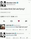 do crabs think fish are flying, how high are you, 5'9