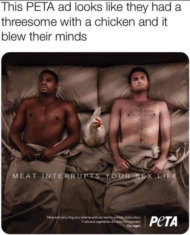 this peta ad looks like they had a threesome with a chicken and it blew their minds