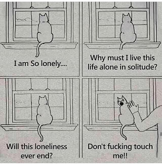 i am so lonely, why must i live this life alone in solitude, will this loneliness ever end?, don't fucking touch me!, cat logic