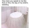 how dare you speak to me like that on this, the day of my toilet's wedding