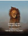 confidence is not, will they like me, it is, i will be fine if they don't