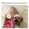 what the hell is so funny karen?, dog in banana