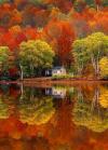 mirror image of a cottage lake house in the fall