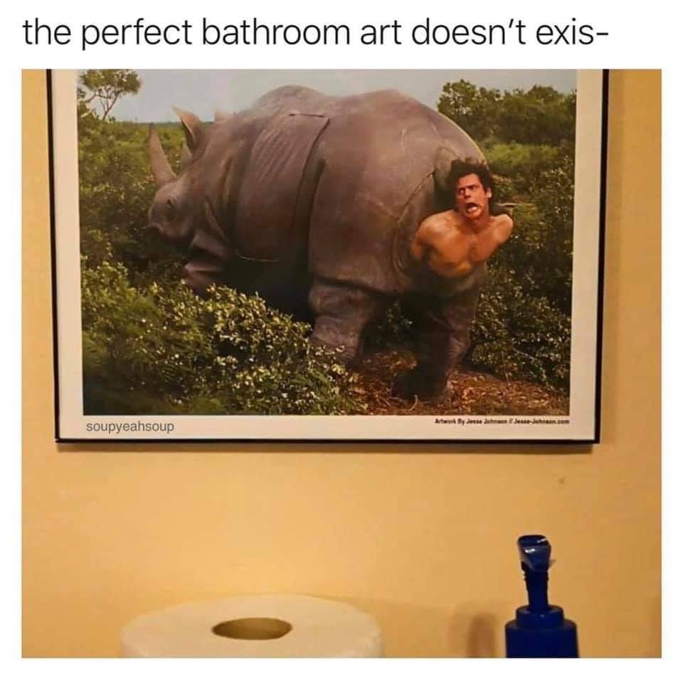 the perfect bathroom art doesn't exist, ace ventura