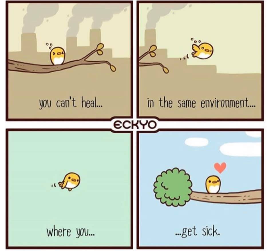 you can't heal in the same environment where you get sick