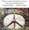 peace cannot be kept by force, it can only be achieved by understanding, albert einstein