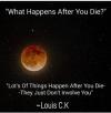 what happens after you die?, lots of things happen after you die, they just don't involve you