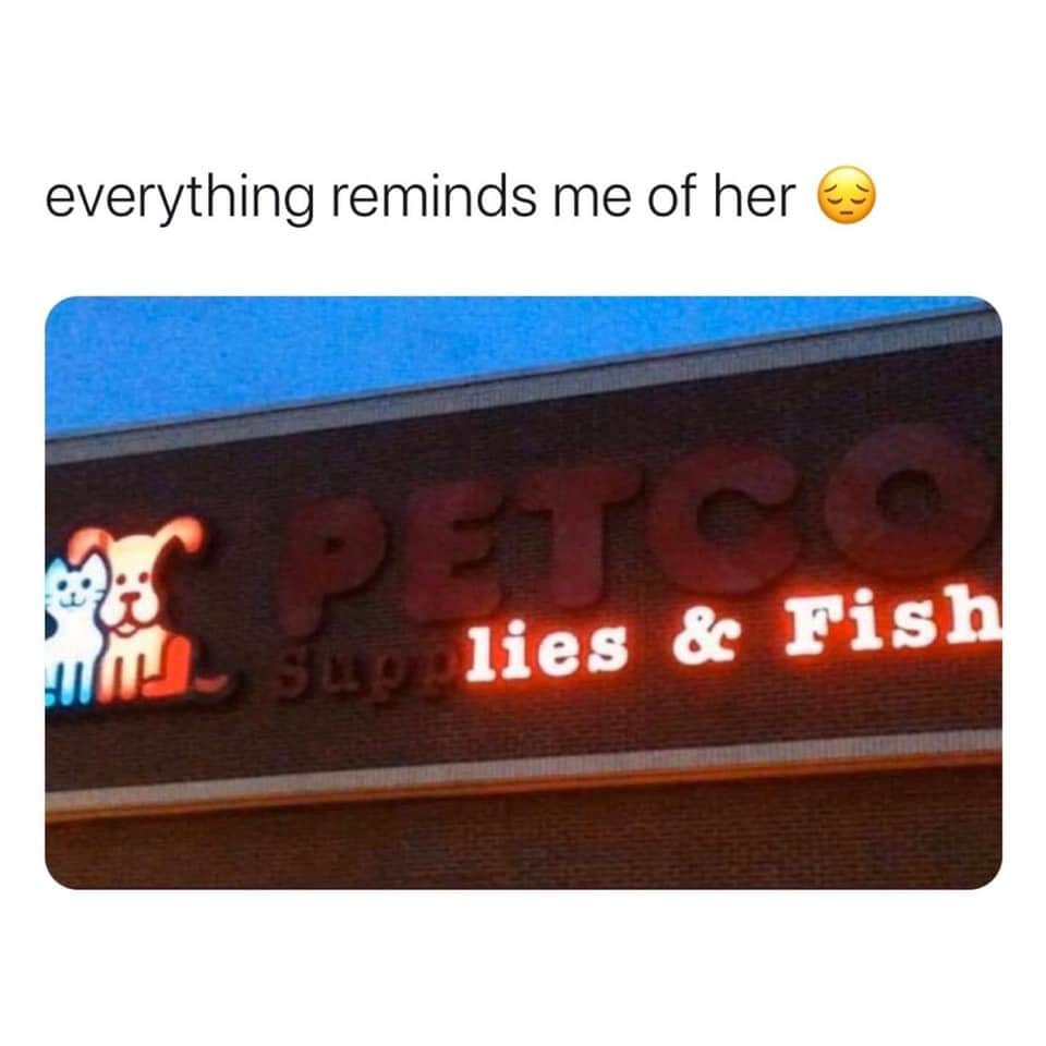 everything reminds me of her, lies and fish