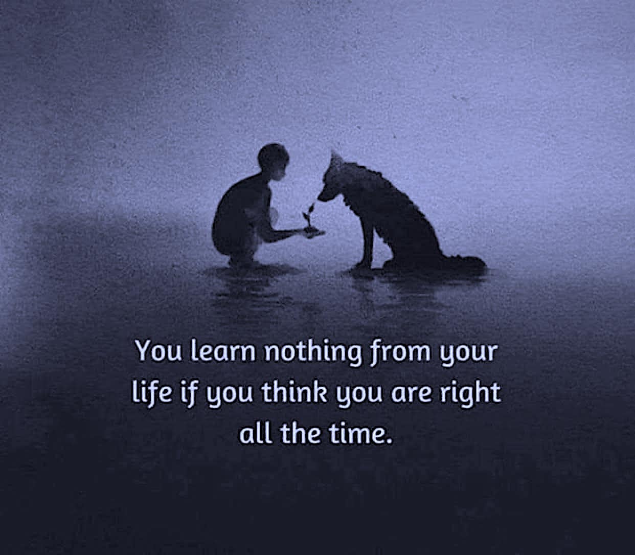 you learn nothing from your life if you think you're right all the time