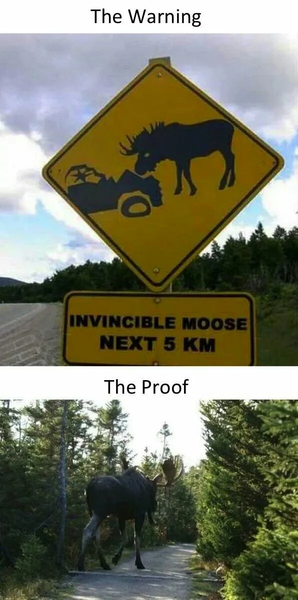 invincible moose next 5km