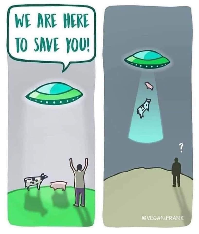 aliens come to save us, we are here to save you, the animals