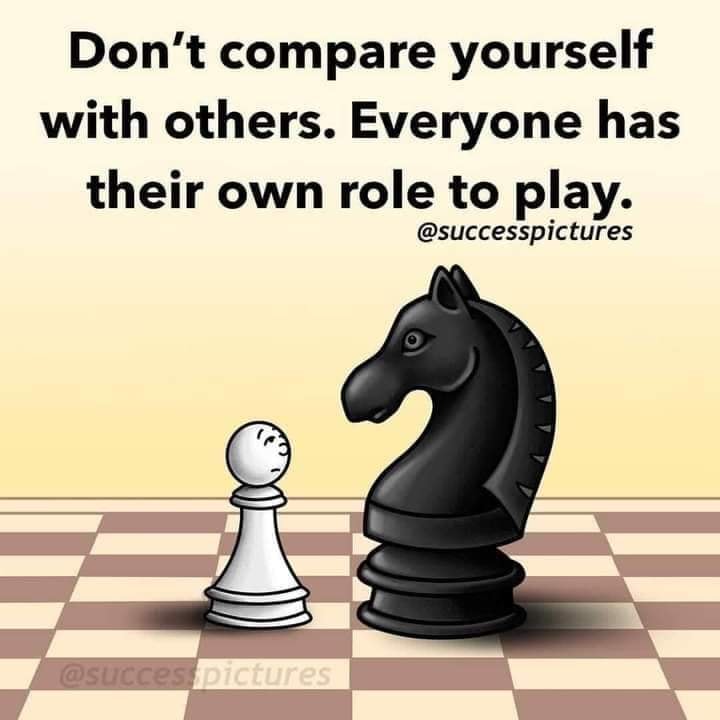 don't compare yourself with others, everyone has their own role to play