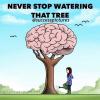 never stop watering that tree