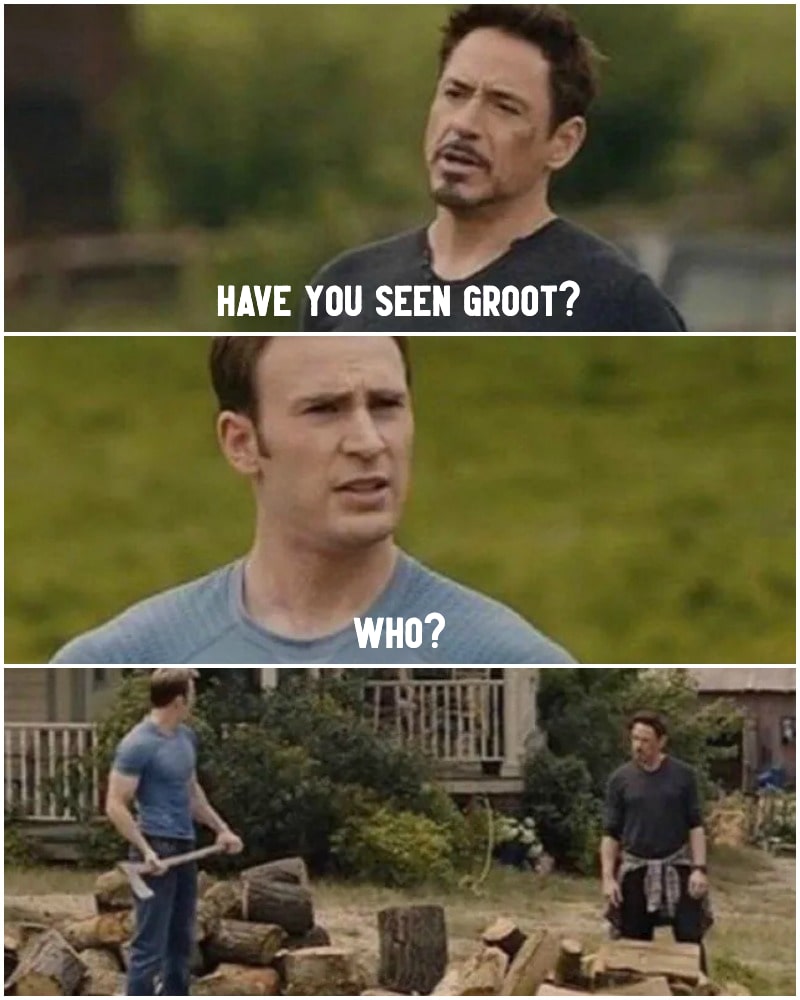 have you seen groot?, who?, captain america chopping wood, meme